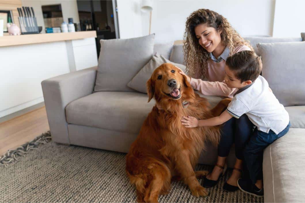 Teaching Children How To Interact With Pets