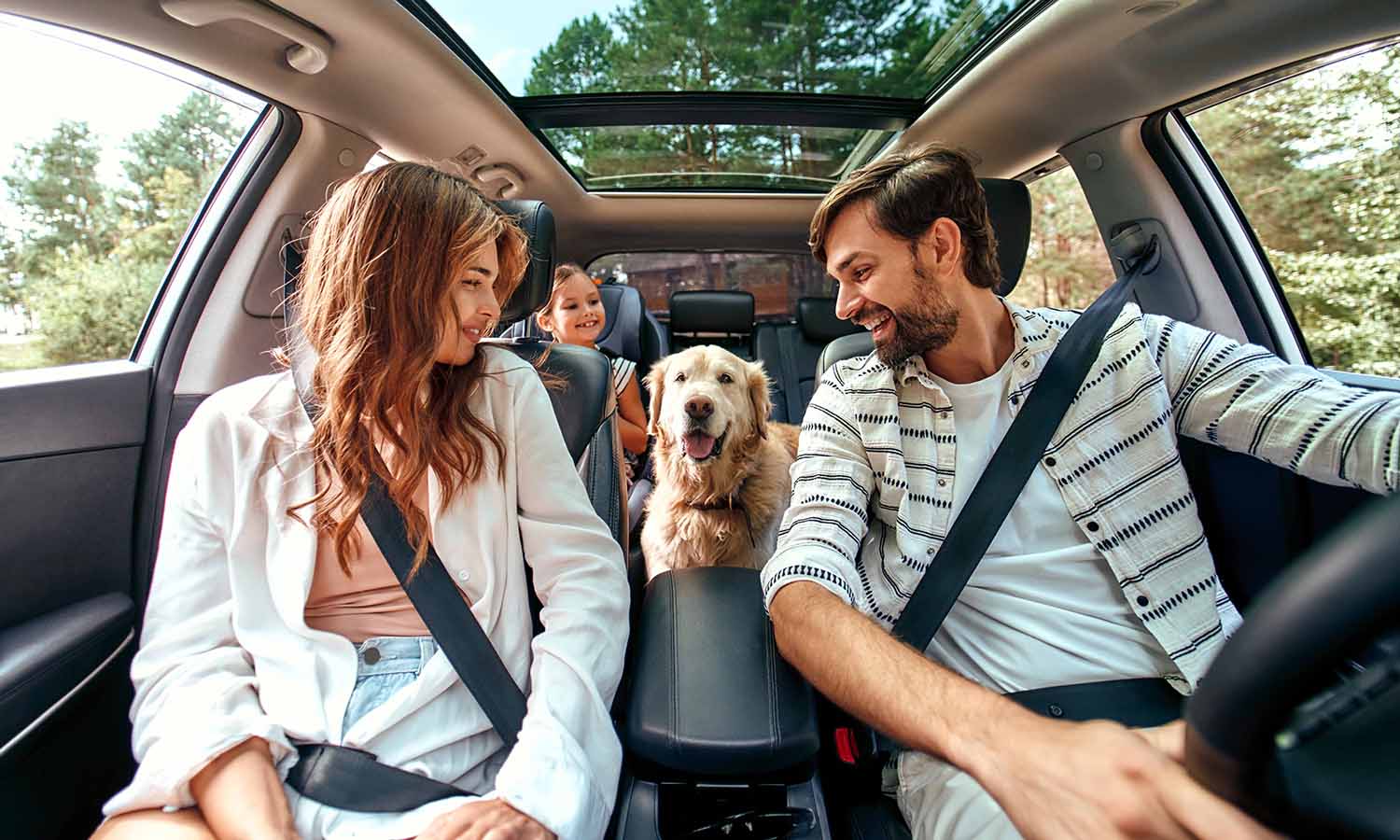 Dog riding in the car with its owners