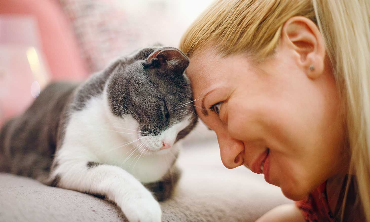 A woman nuzzling her cat